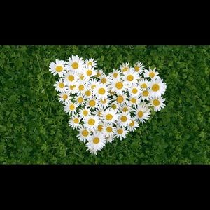 Meet your Posher, Lucy